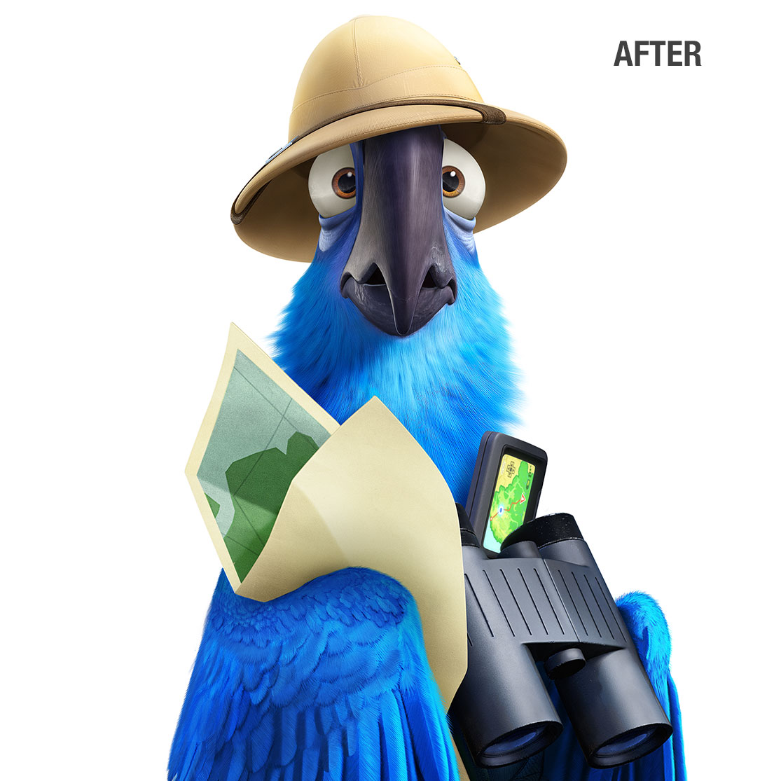 Rio 2 Blue After
