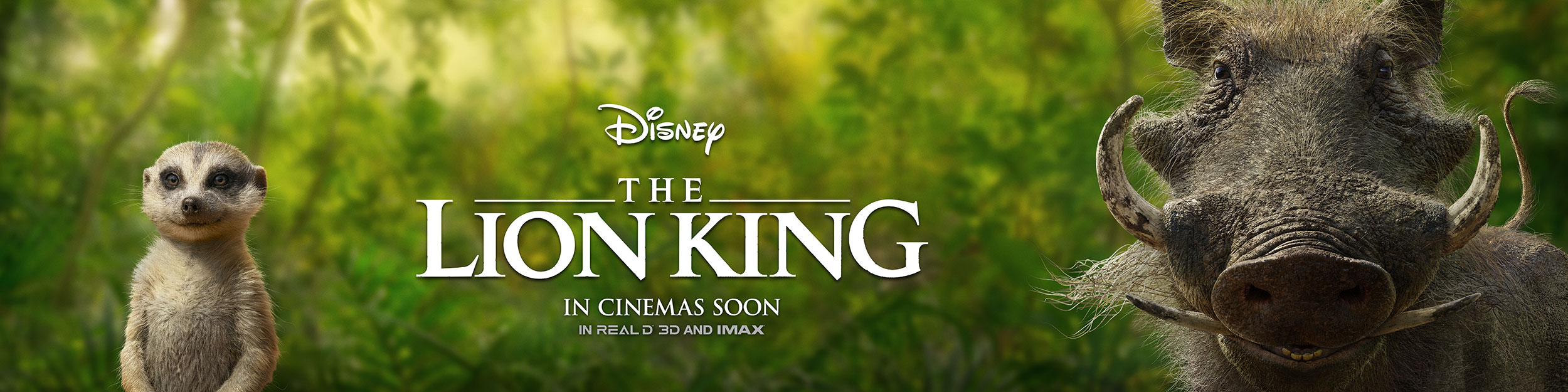 The Lion King | Intl. Outdoor Concept, Finishing & Illustration