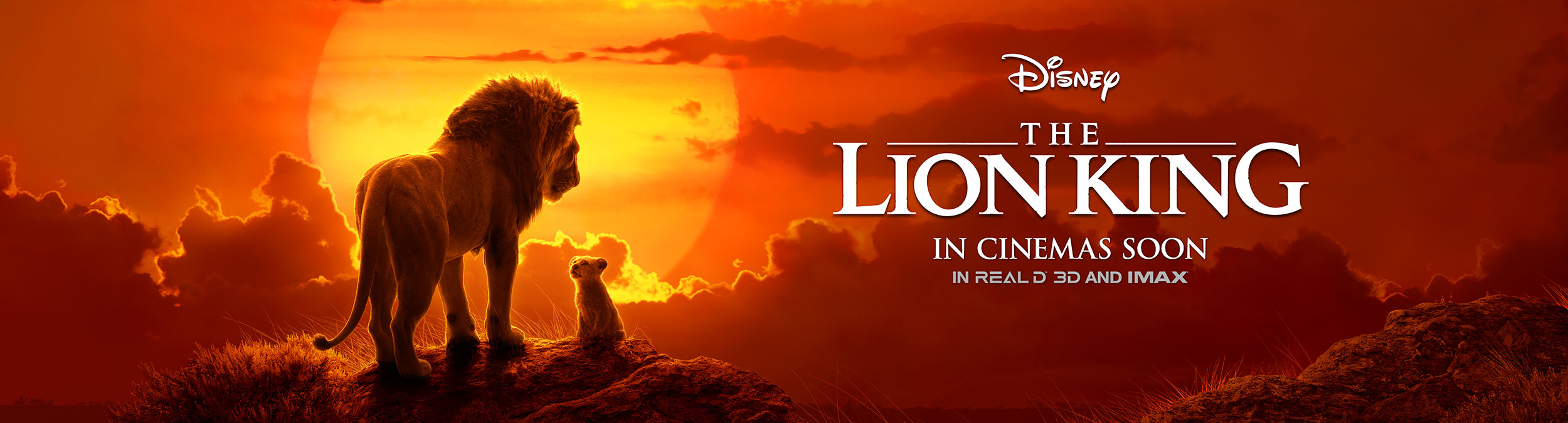 The Lion King | Premiere Wall Finishing & Illustration