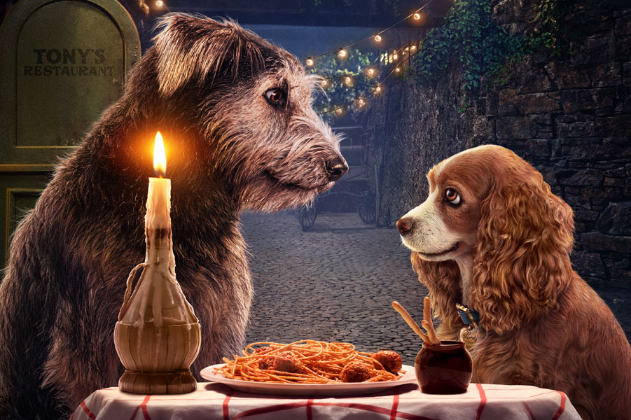 Lady and the Tramp Project